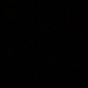 Meet your Posher, Eva